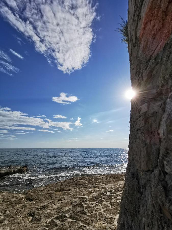 Lara Deluxe Superior 5 Star Apartment, Your Piece Of Heaven By The Sea & Park * Novigrad (Istria)